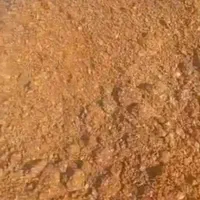 شبانه روزی خدمت شما عزیزان|حیوانات مزرعه|کرج, خرمدشت|دیوار