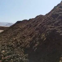 پهن و کود گاوی خلخال