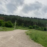 کارشناس زراعت چوب