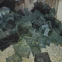 سبد نو فروشی|ظروف نگهدارنده، پلاستیکی، یک‌بارمصرف|آق قلا, |دیوار