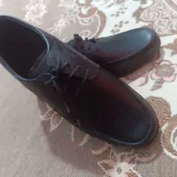 کفش نو طرح چرمی بدون استفاده|کیف، کفش، کمربند|قم, مسجد امام حسن|دیوار