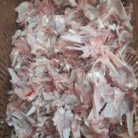 اسکلت مرغ