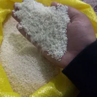 برنج عنبر بو