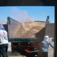 کود حیوانی و گاوی درجه ۱
