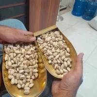 پسته شاهپسند  اعلا درشت  خرده و عمده|خوردنی و آشامیدنی|اهواز, شهرک رزمندگان|دیوار
