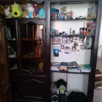 کتابخانه ومیزتحریر سرخود ودوعددجالباسی ایستاده