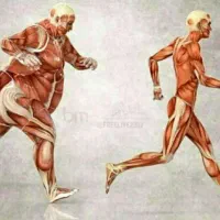 مشاوره وفروش محصولات اصل وتضمینی|آرایشی، بهداشتی، درمانی|بندر ماهشهر, |دیوار