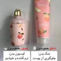 اسپری چربی زدا نانو سان اصلی|مواد شوینده و دستمال کاغذی|دهدشت, |دیوار