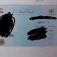 دو عدد کیف پول گم شده