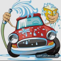 نیروی حرفه ای کارواش