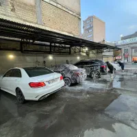 نیرو کارواش