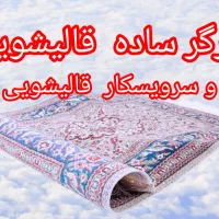 راننده سرویسکار وارد وکارگر ساده در قالیشویی