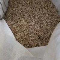 کربن پوست پسته