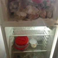 فروش یخچال فوری