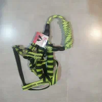 تعدادی وسیله سگ|لوازم جانبی حیوانات|رفسنجان, |دیوار