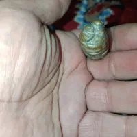 مهر سنگی از جنس سنگ عقیق|کلکسیون اشیاء عتیقه|قرچک, شهرک طلائیه|دیوار