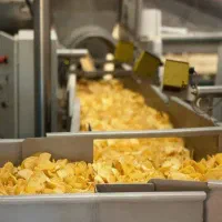 استخدام کارگر چیپس سازی