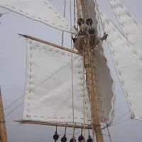 کشتی چوبی مینیاتوری|کلکسیون اشیاء عتیقه|زاهدان, |دیوار