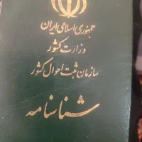گمشدن کلیه مدارک شناسایی داخل کیف زنانه