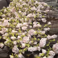 گل رز مصنوعی 30 شاخه هر شاخه 40 رز