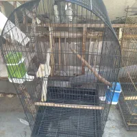 قفس بزرگ ۹۰ الی ۸۵سانتی هست