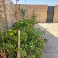 آپارتمان ۱۳۰ متری نزدیک صالح آباد|فروش آپارتمان|تهران, بهمن یار|دیوار