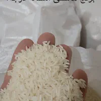 برنج هاشمی گیلان