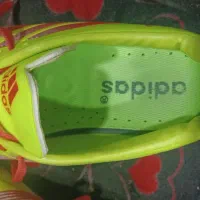 یه جفت کفش ورزشی  سالنی   دو   بار. پا  کردم|کیف، کفش، کمربند|بندر ماهشهر, |دیوار