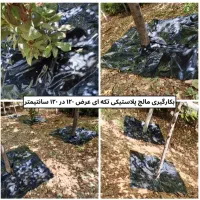 نوار تیپ(آبیاری)پلاستیک مالچ کشاورزی و درختی