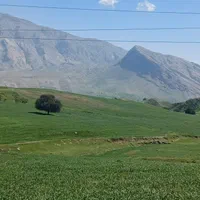 اجاره ی دکه ی فست فودی