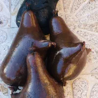 هیزه|حراج|جزمان, |دیوار