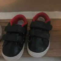 کریر|کالسکه و لوازم جانبی|اردبیل, |دیوار