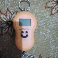 ترازو دیجیتالی