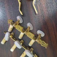هد گیتار و کاپو