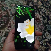 samsung a31 در حدآک بدون مشابه|موبایل|شیراز, میانرود|دیوار