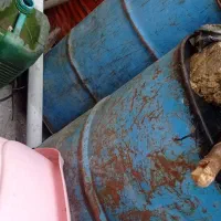 با سلام ۳عددبشکه جانفت به فروش می رسد