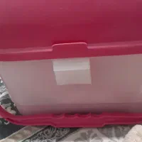 ظرف پیکنیکی|ظروف نگهدارنده، پلاستیکی، یک‌بارمصرف|سنندج, |دیوار