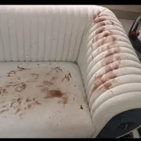 قالیشویی  لوتوس تخفیف ویژه پاییزه پتتو رایگان بشور|خدمات نظافت|نظرآباد, نظرآباد|دیوار