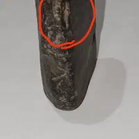 دوعددسنگه قیمتی وباستانی|کلکسیون اشیاء عتیقه|تهران, امام زاده عبدالله|دیوار