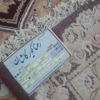 فرش|فرش|دزفول, |دیوار