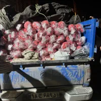 کپسول اتش نشانی مستقیم از کارخانه عاملیت فروش