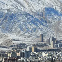دلار-طلا-فروش-سوئیت