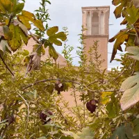 نیروی رزرواسیون شیفت شب