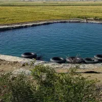 فروش و نصب لایه استخر کشاورزی