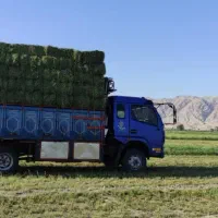 کاویان کاپیتان دو کابین|خودرو سنگین|خانمیرزا, |دیوار