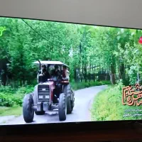 تلوزیون