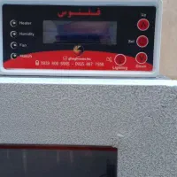 دستگاه جوجه کشی ققنوس