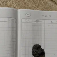 فروش شهاب سنگ اصلی ازمایش شده|جواهرات|سنندج, |دیوار