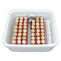 دستگاه جوجه کشی ایزی باتور2