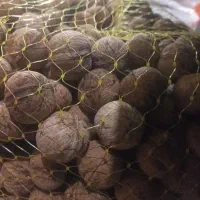 فروش و معاوضه  گردو و لوبیاو عدس   با برنج مطمئن